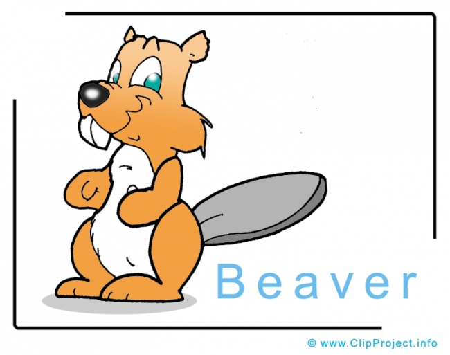 Beaver Clip Art Image free