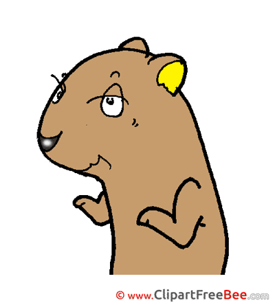 Beaver Pics free Illustration