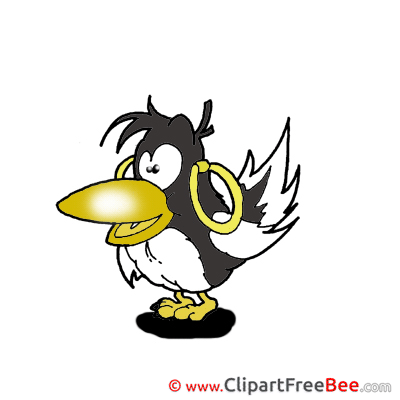 Black Raven Clipart free Illustrations