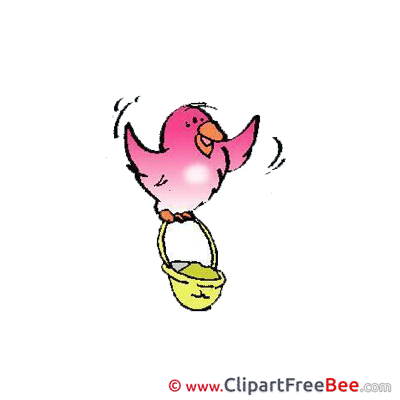 Bullfinch download Clip Art for free