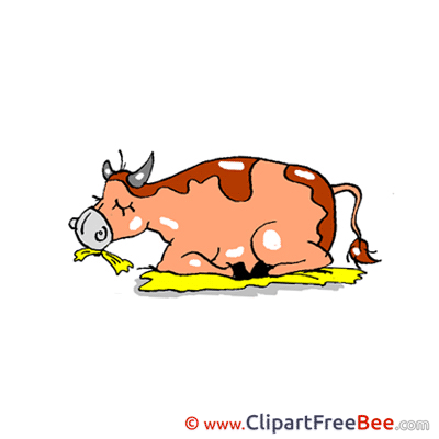 Cow Images download free Cliparts