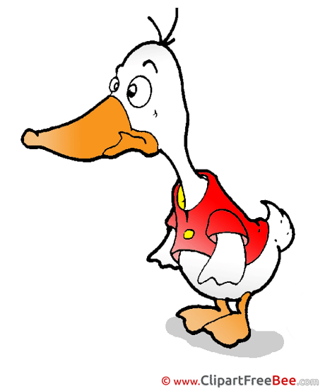 Duck download Clip Art for free