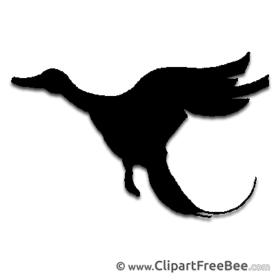 Duck Silhouette Clipart free Image download