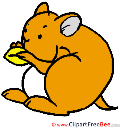 Hamster download Clip Art for free