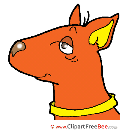 Kangaroo Clip Art download for free