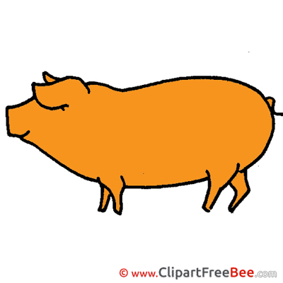 Pig free Illustration download