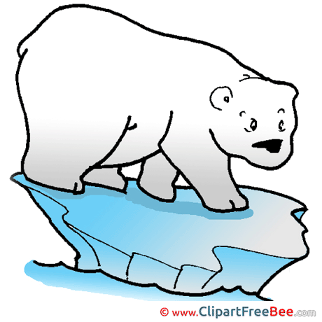 Polar Bear Clipart free Illustrations