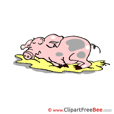 Puddle Pig Pics printable Cliparts