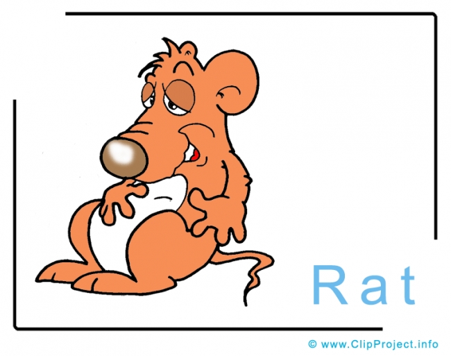 Rat Clip Art Image free - Animals Clip Art free