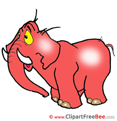 Red Elephant Clip Art download for free
