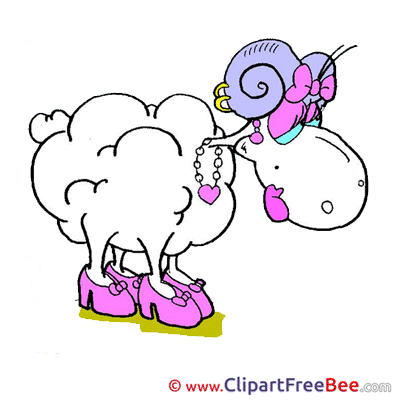 Sheep free Illustration download