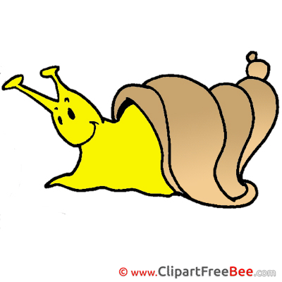 Snail free Illustration download