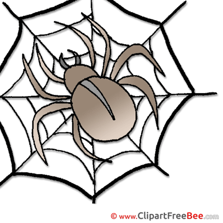 Web Spider download printable Illustrations