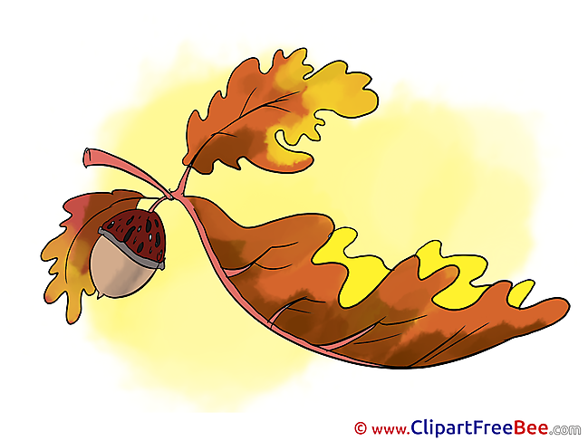 Acorn Leaf free Illustration Autumn