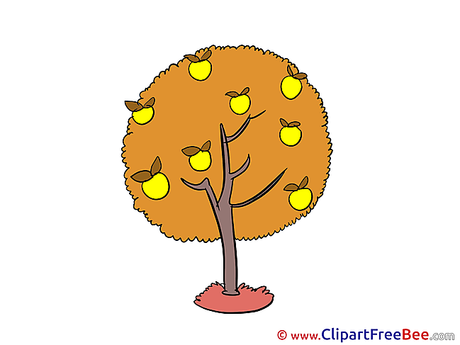 Apples Tree download Clipart Autumn Cliparts