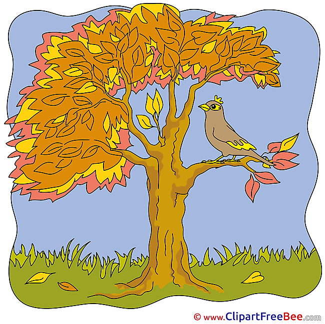 Bird Tree free Illustration Autumn