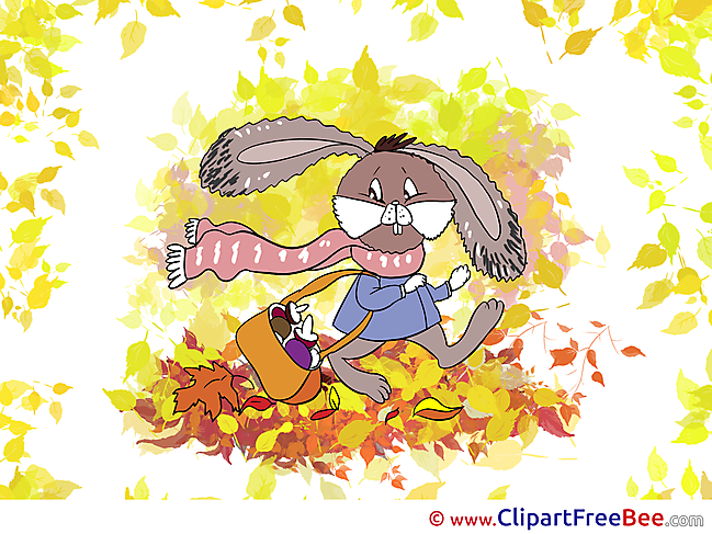 Bunny Leaves free Illustration Autumn