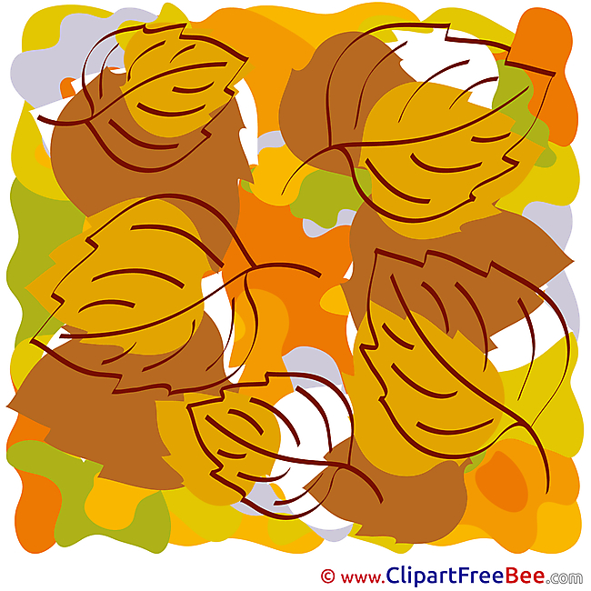 Clipart Leaves Autumn Illustrations