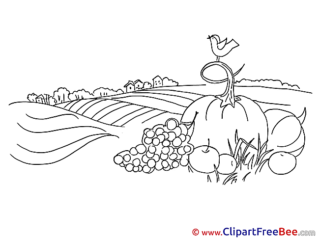 Coloring Field Autumn free Images download