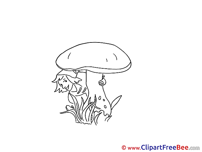 Coloring Mushroom Pics Autumn Illustration