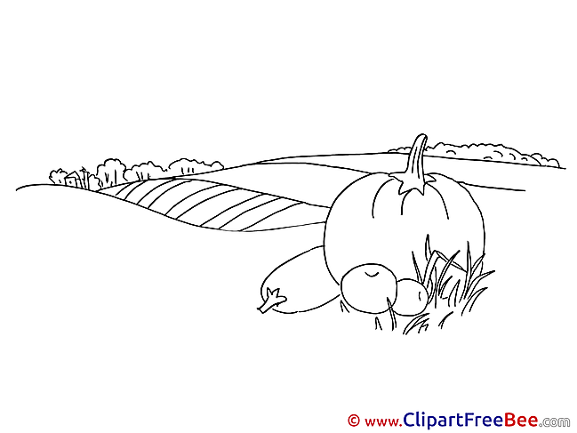 Coloring Vegetables download Autumn Illustrations