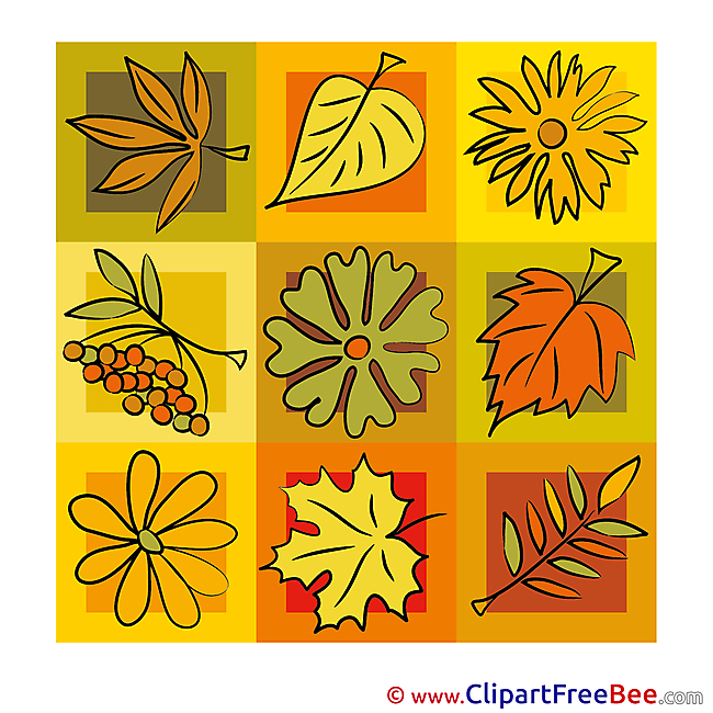 Download Leaves Autumn Illustrations