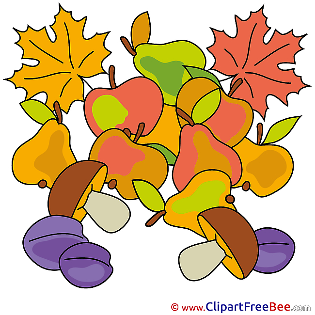 Fruits Pics Autumn Illustration