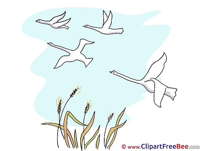 Gooses free Cliparts Autumn
