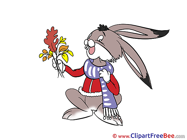 Hare Leaves Autumn Illustrations for free