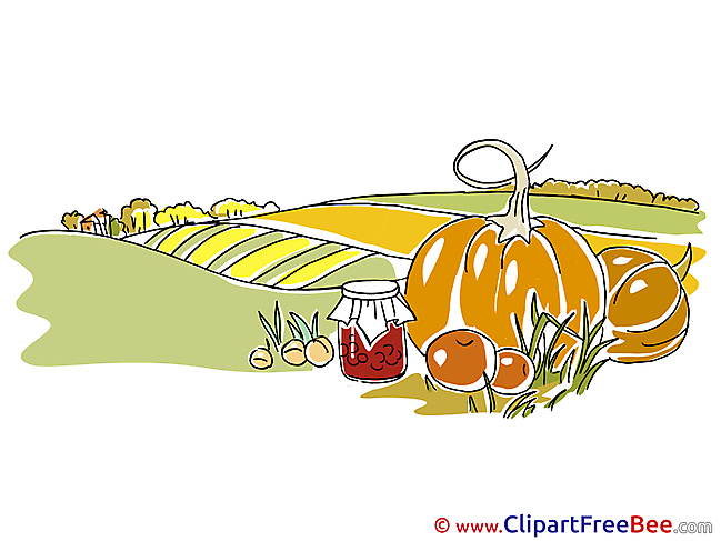 Harvest Field Clipart Autumn Illustrations