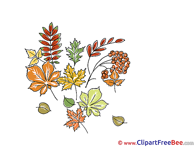 Herbarium Clipart Autumn Illustrations