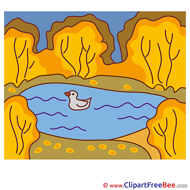 Lake Duck Autumn download Illustration