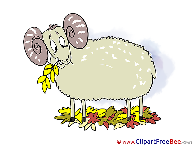 Sheep Leaves free Illustration Autumn