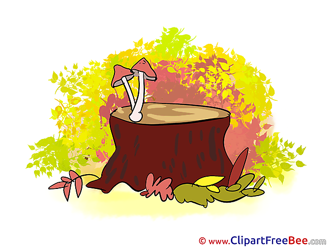 Stump Mushroom download Autumn Illustrations