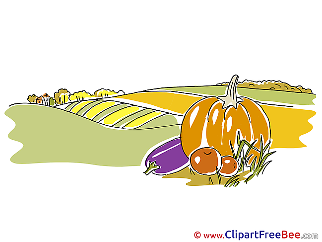 Vegetables Field Clipart Autumn Illustrations