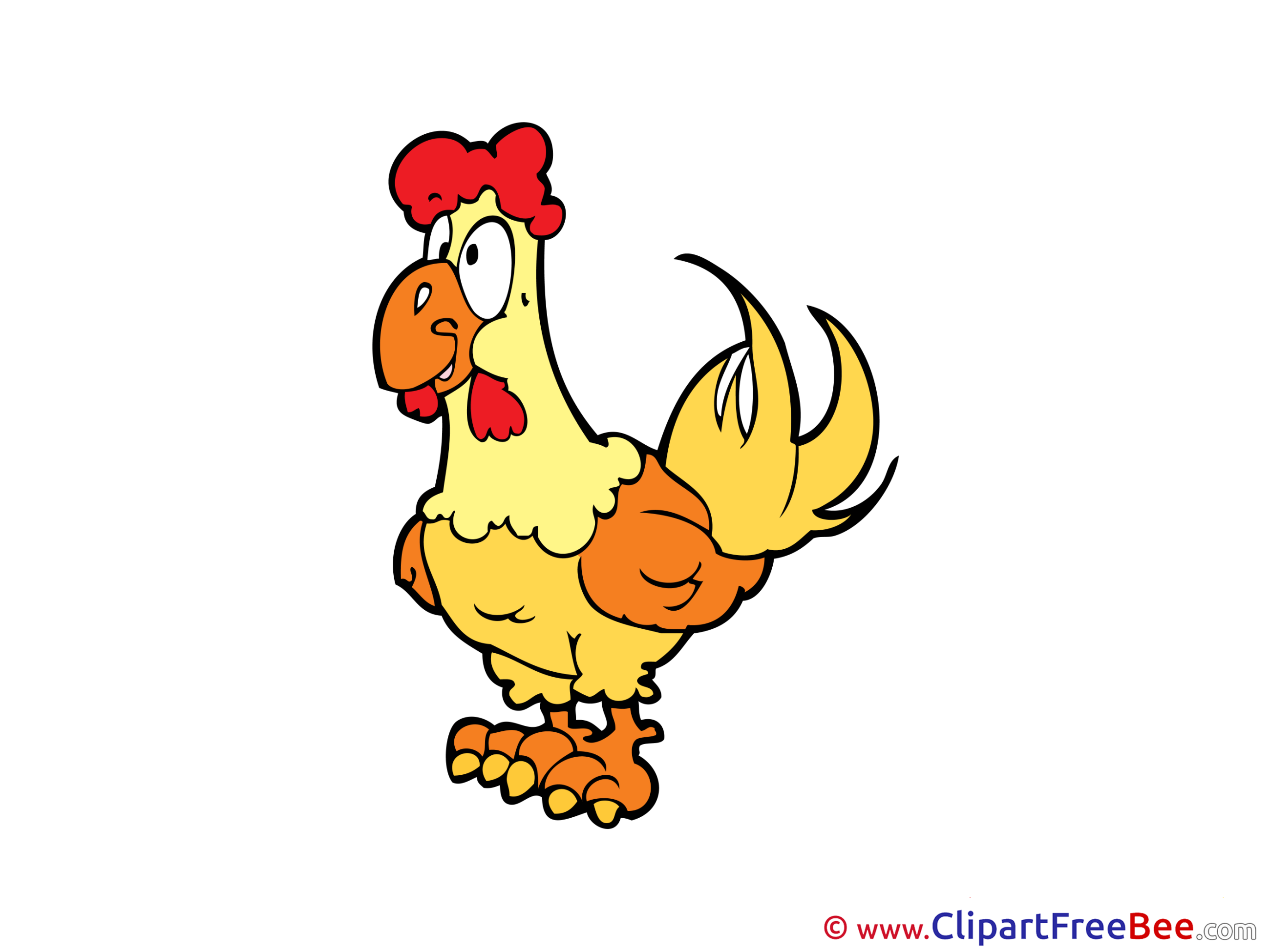 Rooster Clipart free Illustrations