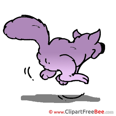 Jumping Cat Pics free download Image