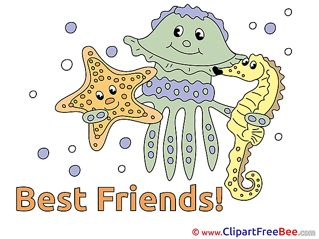 Medusa Starfish Sea Horse free Illustration Best Friends