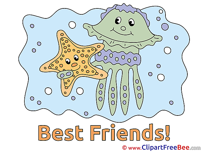 Starfish Medusa Pics Best Friends Illustration