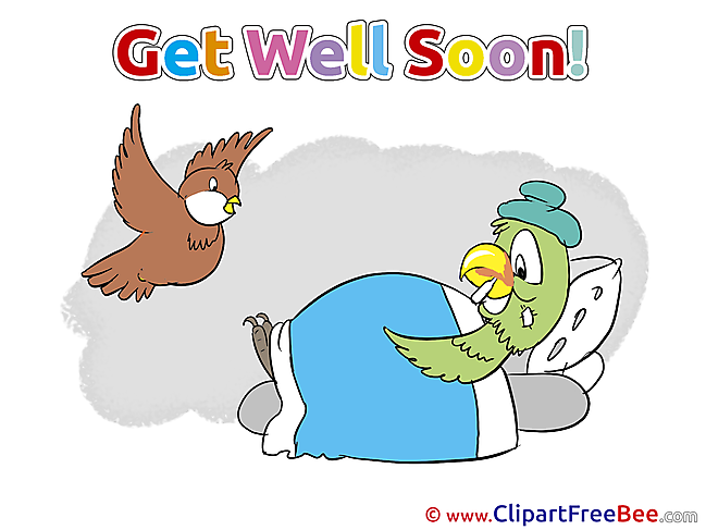 Bird Parrot free Cliparts Get Well Soon