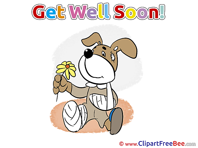 Gypsum Dog Flower free Illustration Get Well Soon