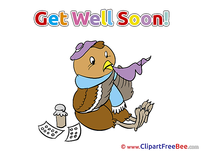 Owl Bird Get Well Soon Illustrations for free
