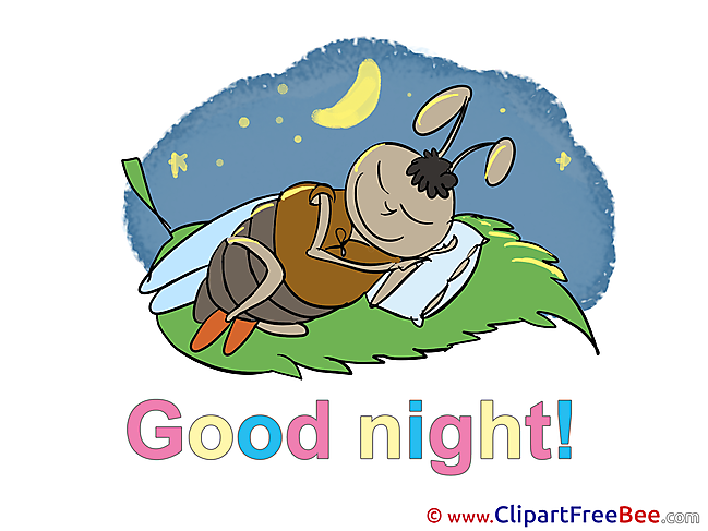 Bug Pillow Good Night download Illustration