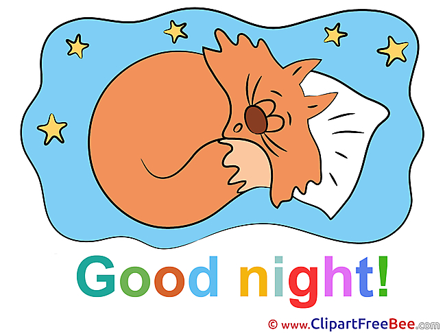 Cat Pillow Stars Clipart Good Night free Images
