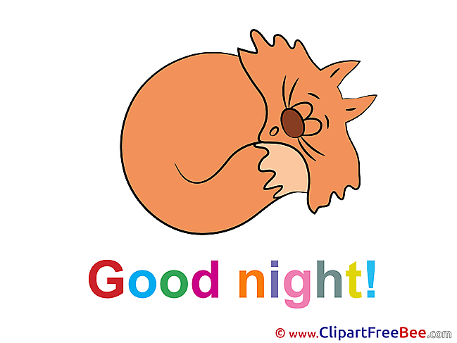 Image Cat Good Night Illustrations for free