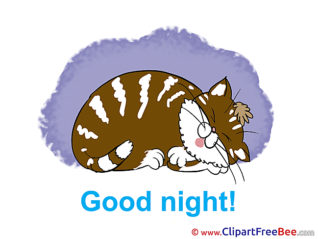 Image Cat Pics Good Night Illustration