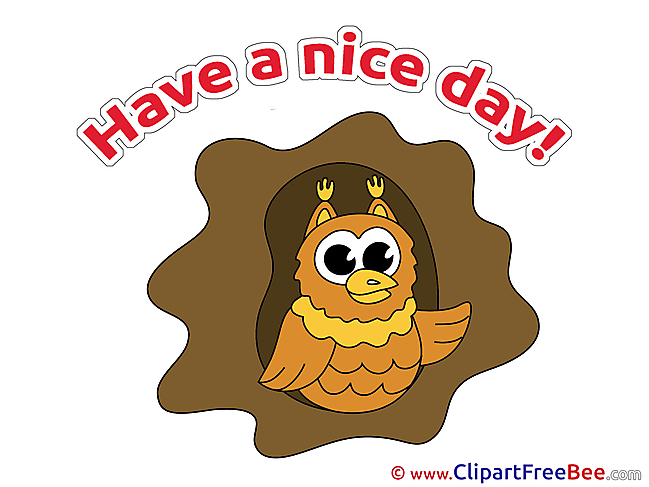 Owl Pics Have a Nice Day free Image