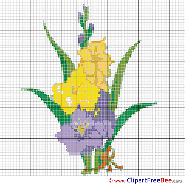 Gladiolus download Cross Stitch free