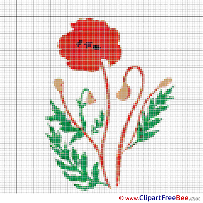 Poppy Design Cross Stitches free