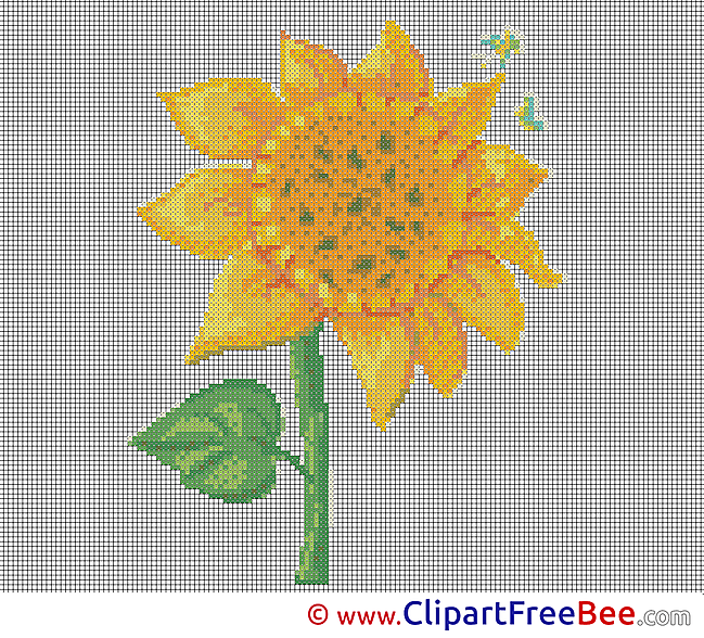 Sunflower Cross Stitches free